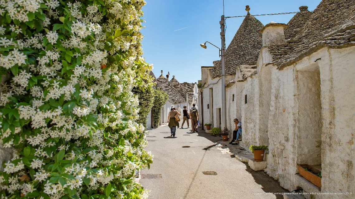 Le stradine del centro storico di Alberobello