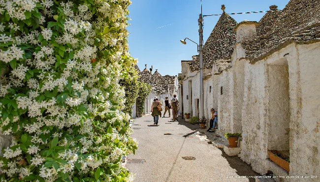 The small streets of the historic center of Alberobello