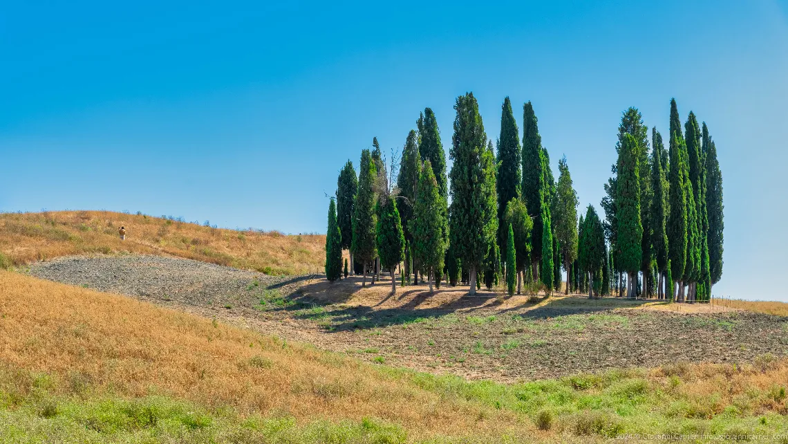 I Cipressini di San Quirico d'Orcia: un simbolo toscano